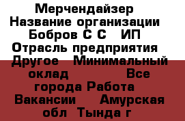 Мерчендайзер › Название организации ­ Бобров С.С., ИП › Отрасль предприятия ­ Другое › Минимальный оклад ­ 17 000 - Все города Работа » Вакансии   . Амурская обл.,Тында г.